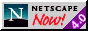 ns-40p.gif (1209 bytes)